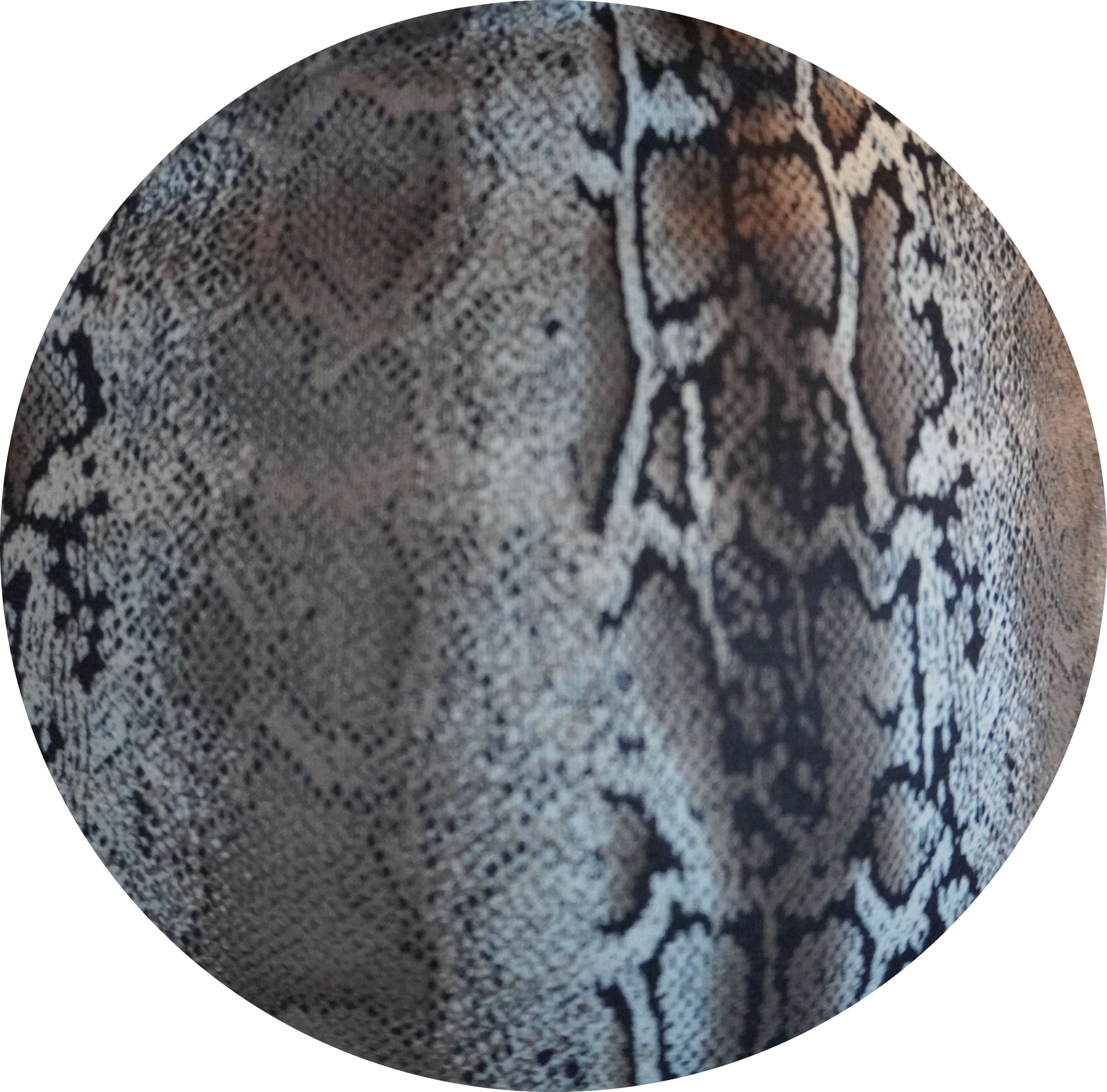Up close picture of fabric to show snake skin design